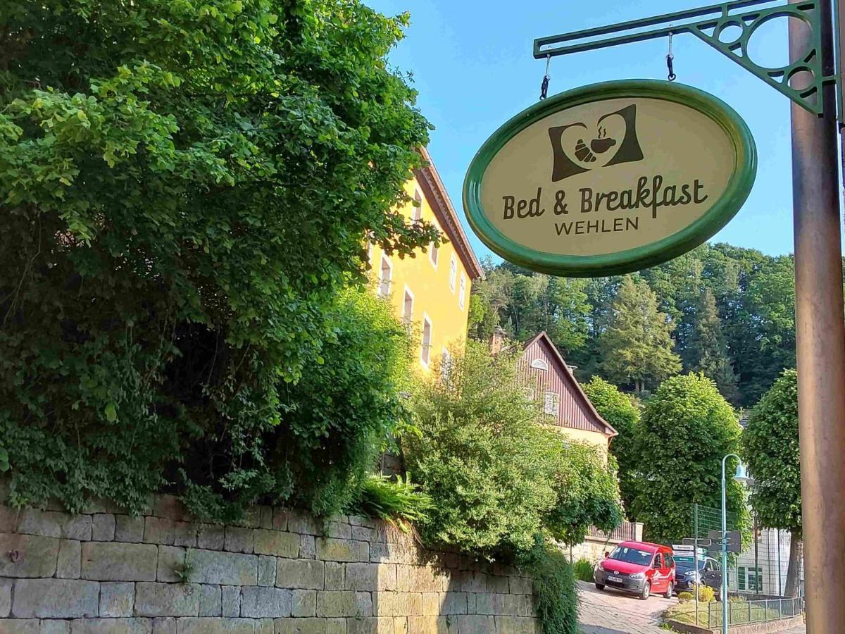 Bed And Breakfast Wehlen Stadt Wehlen Kültér fotó