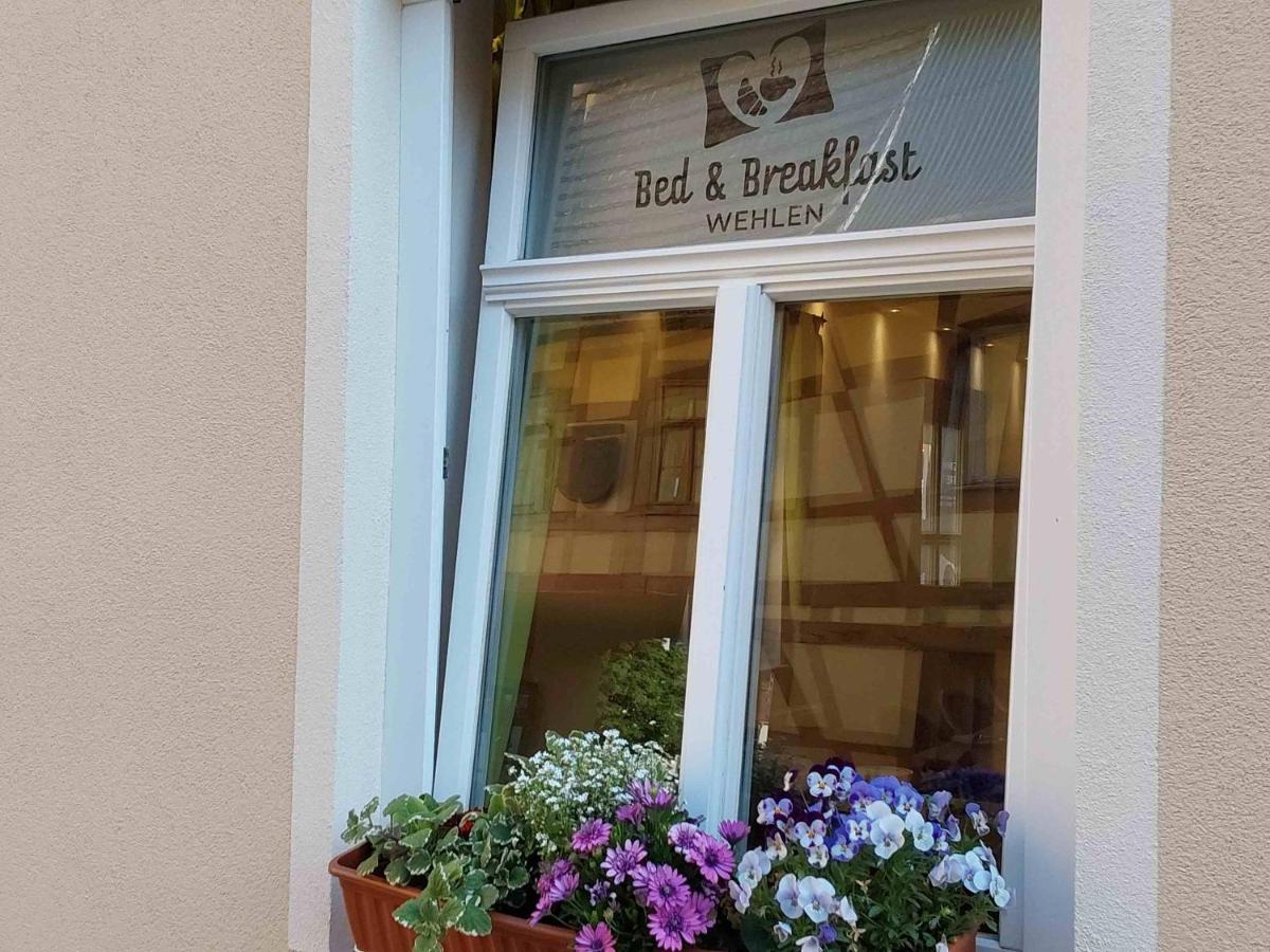 Bed And Breakfast Wehlen Stadt Wehlen Kültér fotó